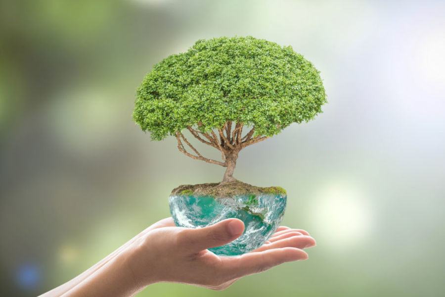 Energy Incentive Programs For Businesses And How Are They Beneficial Energy Incentive Programs For Businesses And How Are They Beneficial